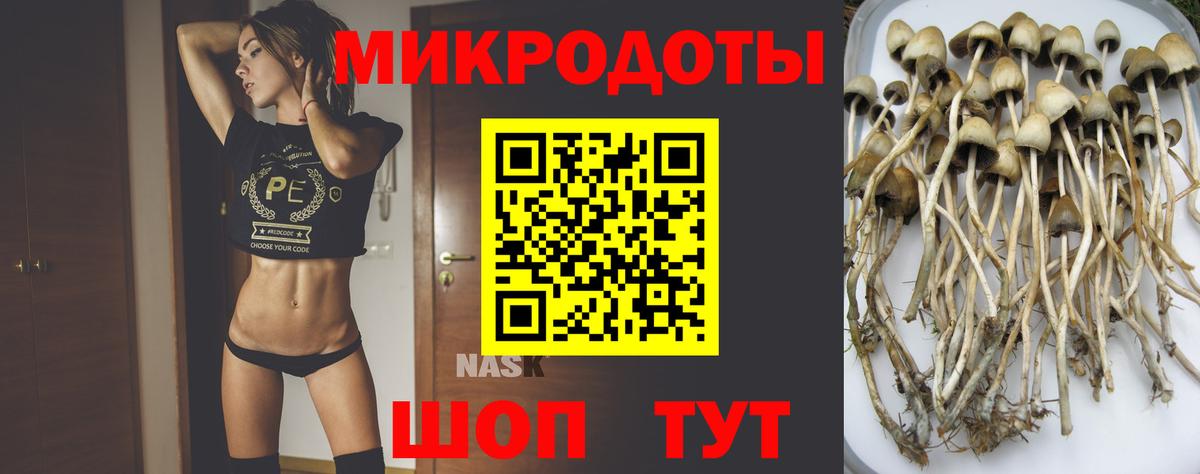 Ессентуки  Псилоцибиновые грибы Psilocybine cubensis  Вход с VPN  Галлюциногенные грибы Psilocybine cubensis 